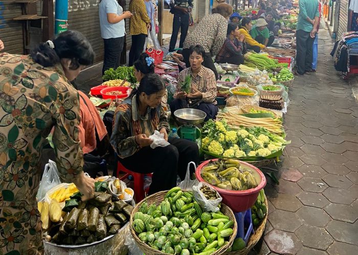 Angkor Wat Small Tour - Floating Village & Local Market Tour