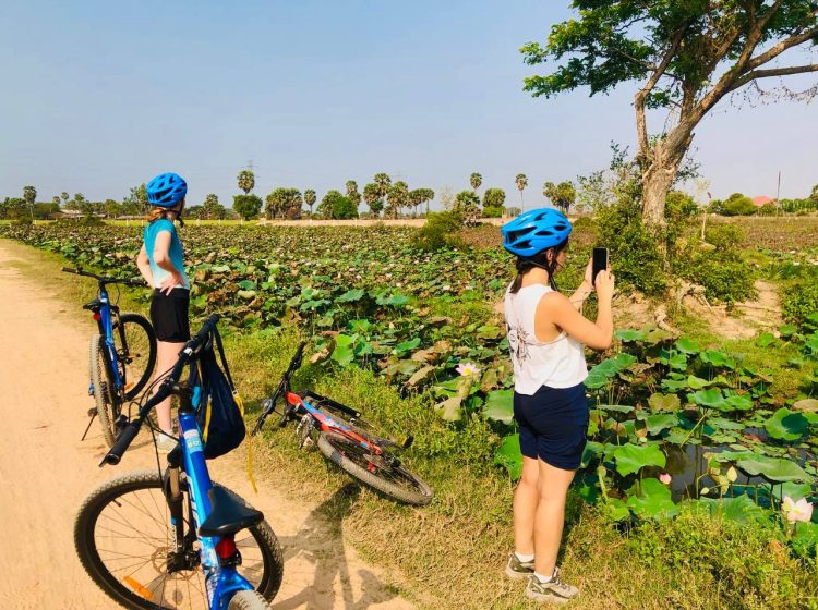 Bike Tour