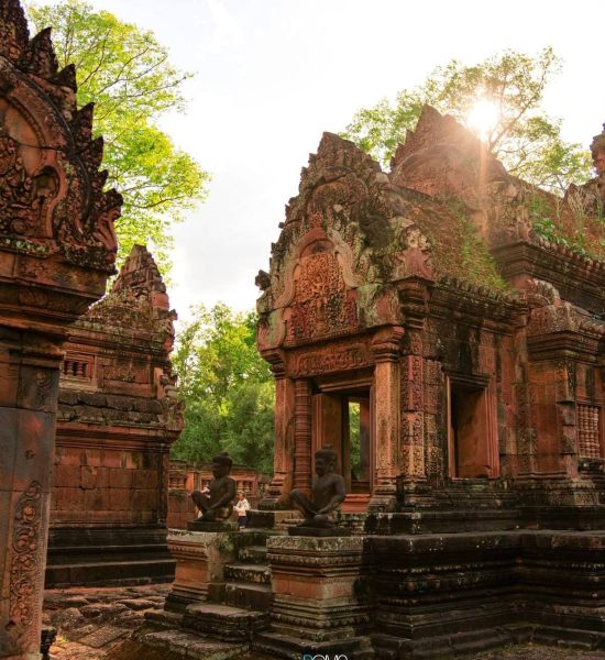 Banteay Srei temple tour including Landmine Museum and Butterfly Center in Siem Reap