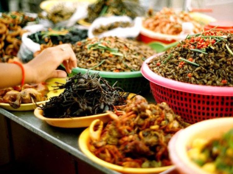 Siem Reap City Tour & Street Food Experience
